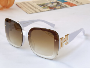 Hermes Luxury Sunglasses H9188 