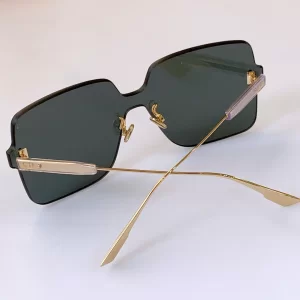 Luxury Womens Sunglasses Dior Luxury Sunglasses COLORQuake1 A65PP180 AA158484
