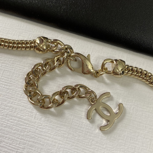 Luxury Womens Jewelry Chanel Necklace Chanel Gold Chain Necklace A152PP220 AA159703