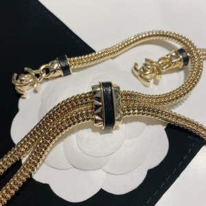 Luxury Womens Jewelry Chanel Necklace Chanel Gold Chain Necklace A152PP220 AA159704