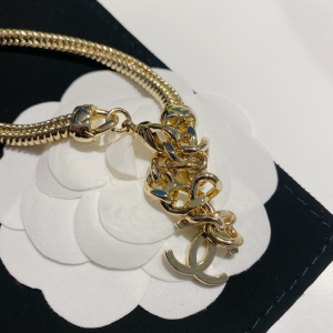 Luxury Womens Jewelry Chanel Necklace Chanel Gold Chain Necklace A152PP220 AA159704