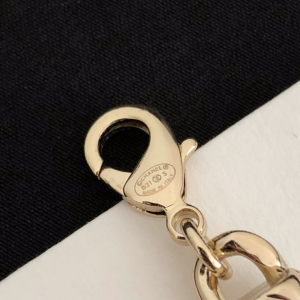 Luxury Womens Jewelry Chanel Necklace Chanel CC Chain Necklace A39PP165 AA159885