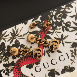 Luxury Womens Jewelry Gucci Earring Gucci Double G Earring A39PP110 AA160828