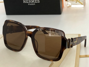 Hermes Luxury Sunglasses H9192 