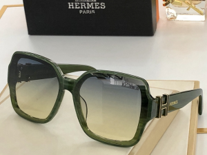 Hermes Luxury Sunglasses H9192 
