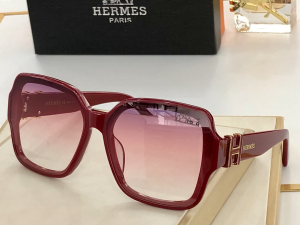 Hermes Luxury Sunglasses H9192 