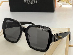 Hermes Luxury Sunglasses H9192 