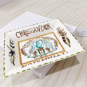Luxury Home Change Trays Dior Trinket Tray La Temperance 20x17CM A201PP480 AA161447