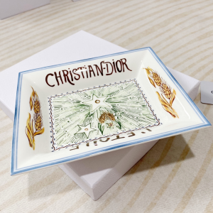 Luxury Home Change Trays Dior Trinket Tray La Temperance 20x17CM A201PP480 AA161449