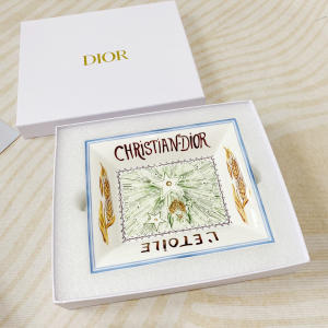 Luxury Home Change Trays Dior Trinket Tray La Temperance 20x17CM A201PP480 AA161449