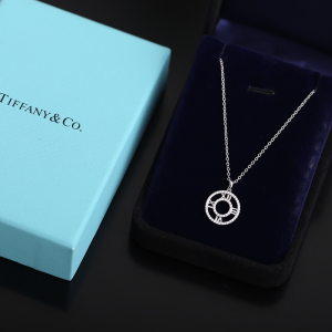 Luxury Womens Jewelry Tiffany Atlas X Necklace A205PP220 AA161480