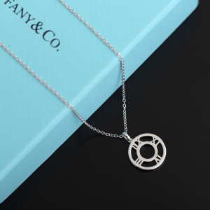 Luxury Womens Jewelry Tiffany Atlas X Necklace A205PP220 AA161480