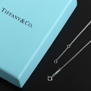 Luxury Womens Jewelry Tiffany Atlas X Necklace A205PP220 AA161480