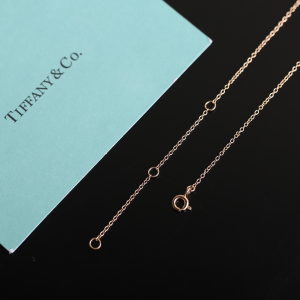 Luxury Womens Jewelry Tiffany Modern keys Necklace A205PP260 AA161482