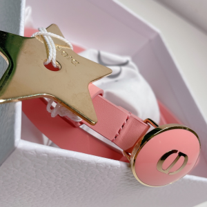 Luxury Womens Belts Dior Teddy D Belt in Pink Smooth Calfskin 15MM A28PP240 AA162489