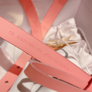 Luxury Womens Belts Dior Teddy D Belt in Pink Smooth Calfskin 15MM A28PP240 AA162489