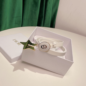 Luxury Womens Belts Dior Teddy D Belt in White Smooth Calfskin 15MM A28PP240 AA162490