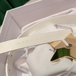 Luxury Womens Belts Dior Teddy D Belt in White Smooth Calfskin 15MM A28PP240 AA162490