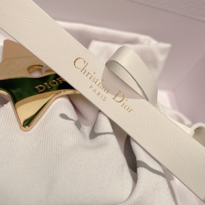 Luxury Womens Belts Dior Teddy D Belt in White Smooth Calfskin 15MM A28PP240 AA162490