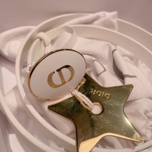 Luxury Womens Belts Dior Teddy D Belt in White Smooth Calfskin 15MM A28PP240 AA162490