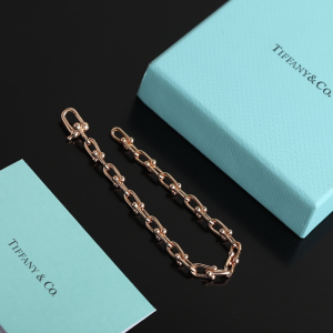 Luxury Womens Jewelry Tiffany HardWear City Wrap Link Bracelet A205PP240 AA163971