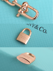 Luxury Womens Jewelry Tiffany HardWear City Wrap Link Bracelet A205PP240 AA163971