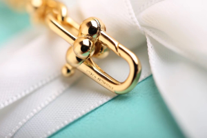 Luxury Womens Jewelry Tiffany HardWear City Wrap Necklace in Gold A205PP280 AA163968