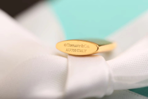 Luxury Womens Jewelry Tiffany HardWear City Wrap Necklace in Gold A205PP280 AA163968