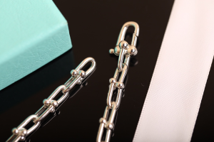 Luxury Womens Jewelry Tiffany HardWear City Wrap Necklace in Silver A205PP280 AA163967