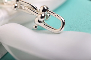 Luxury Womens Jewelry Tiffany HardWear City Wrap Necklace in Silver A205PP280 AA163967