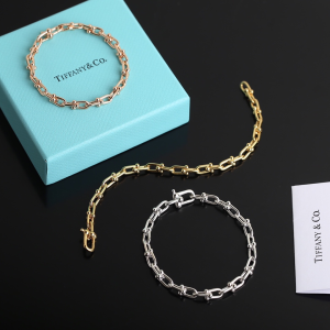 Luxury Womens Jewelry Tiffany HardWear Micro Link Bracelet A205PP240 AA163970
