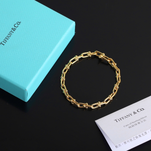 Luxury Womens Jewelry Tiffany HardWear Micro Link Bracelet A205PP240 AA163970