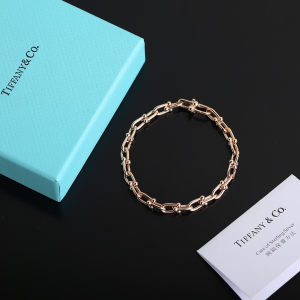 Luxury Womens Jewelry Tiffany HardWear Micro Link Bracelet A205PP240 AA163970