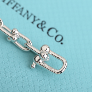 Luxury Womens Jewelry Tiffany HardWear Micro Link Bracelet A205PP240 AA163970
