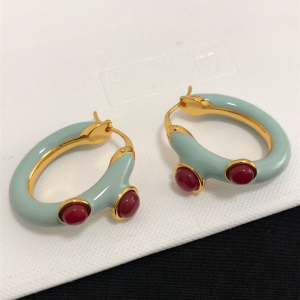 Luxury Womens Jewelry Chloe Hidra Small Hoop Earrings A39PP140 AA164014