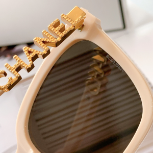 Luxury Womens Sunglasses Chanel Luxury Sunglasses CH0746 A65PP180 AA164583