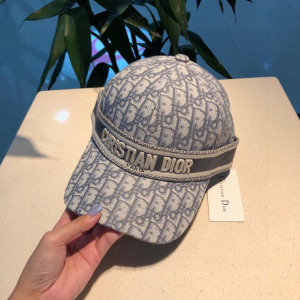 Dior Gray Dior Oblique Baseball Hat 
