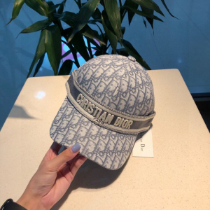 Luxury Womens Hats Dior Gray Dior Oblique Baseball Hat A190PP100 AA164966