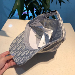 Luxury Womens Hats Dior Gray Dior Oblique Baseball Hat A190PP100 AA164966