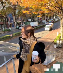 Luxury Womens Scarf Gucci GG Cashmere Wool Scarf in Brown 28x180CM A151PP190 AA165647