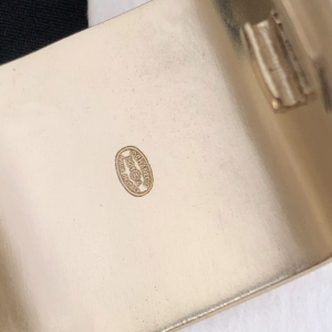 Luxury Womens Jewelry Chanel Chain Airpod Case in Gold A39PP250 AA166377