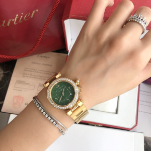 Luxury Womens Watches Cartier Pasha de Cartier Watch 35MM A71PP780 AA166476