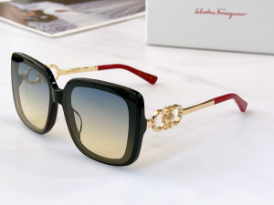 Ferragamo Luxury Sunglasses SF1021S 