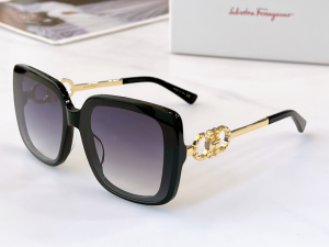 Ferragamo Luxury Sunglasses SF1021S 