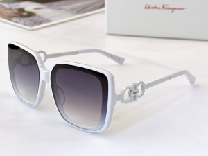 Ferragamo Luxury Sunglasses SF1021S 