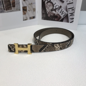 Luxury Womens Belts Hermes H Buckle Python Leather Belt 24MM A28PP340 AA168275