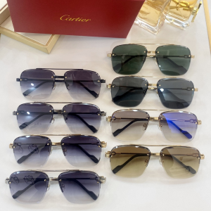 Luxury Womens Sunglasses Cartier Luxury Sunglasses T8200270 A65PP180 AA168364