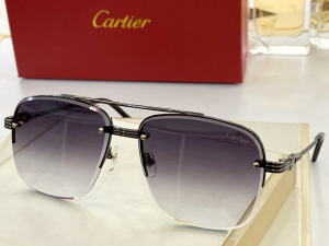 Cartier Luxury Sunglasses T8200270 