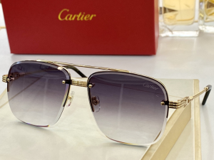 Cartier Luxury Sunglasses T8200270 