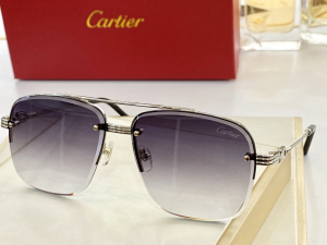Cartier Luxury Sunglasses T8200270 